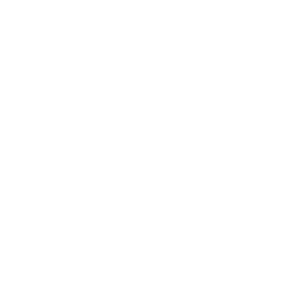 API Integration Services
